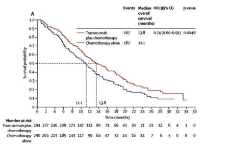 ToGA 연구 결과. HER2 directed therapy in gastric cancer ToGA Trial : overall survival (FISH+ or IHC3+). Bang, Y. Lancet 2010
