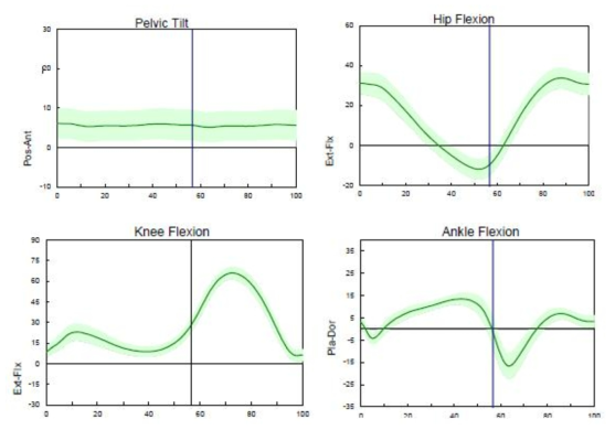 정상 성인 보행에서 시상면 Kinematics 파라메터의 정상치