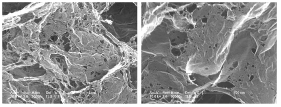 광소결에 기반한 환원법에 의해 합성된 환원 그래핀의 전자현미경 사진
