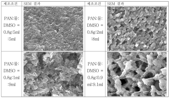 PAN과 물, DMSO의 혼합비별 BCS 소재의 미세 구조 특성