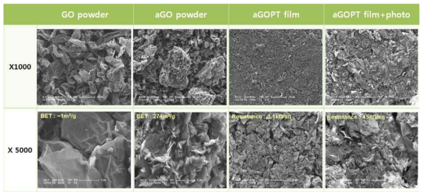 Activated GO 파우더와 그 파우더를 이용한 필름 표면의 전자현미경 사진