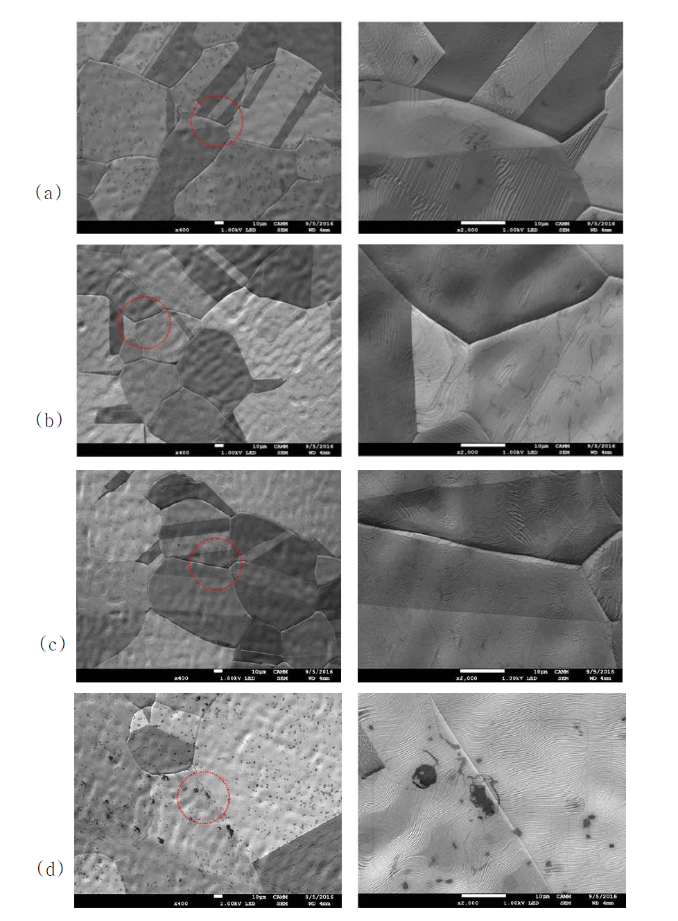 Pre-annealing 온도 변화에 따라 촉매 금속 표면에 합성된 나노박막의 모폴로지 변화에 대한 전자현미경 분석