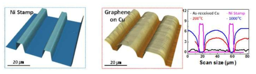 원자현미경을 이용한 Ni stamp와 촉매 금속에서의 패턴 형상 측정 결과