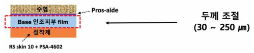 Base 인조피부 film 두께 조절(30 ~250㎛)