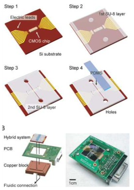 MOS / microfluidic 하이브리드 시스템을 이용한 생물학적 세포의 조작