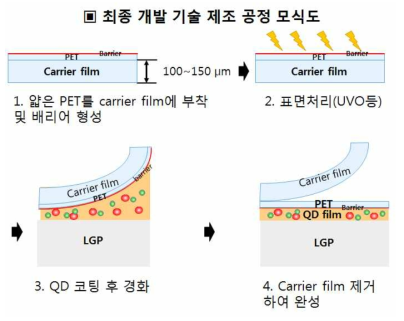 최종 개발 기술 제조 공정 모식도