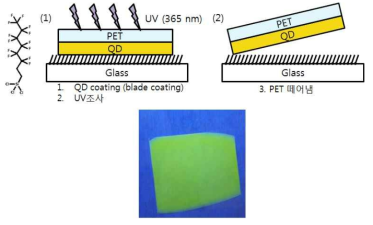 상부 PET 없는 QD 필름 구조 형성 방법 및 결과