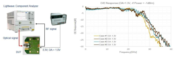 Linear ROSA에 대한 OE response 측정 결과