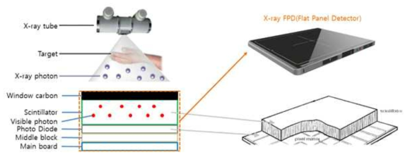 X-ray FPD(Flat Panel Detector) 구조