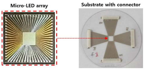 3차 제작된 마이크로 LED array 및 커넥터가 실장된 Sapphire Substrate