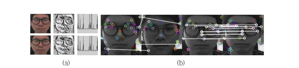 (a)전역 (global) 및 (b)국부 (local) 특징 정보를 이용한 매칭 알고리즘의 예