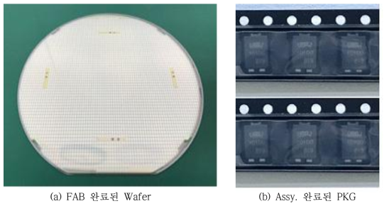 100V/10A급 SBR FAB & Assy 완료제품.