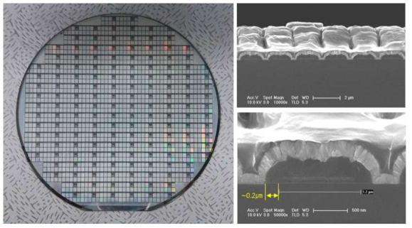 45V/10A급 SBR 전력소자 제작한 웨이퍼 및 단면 SEM 사진.