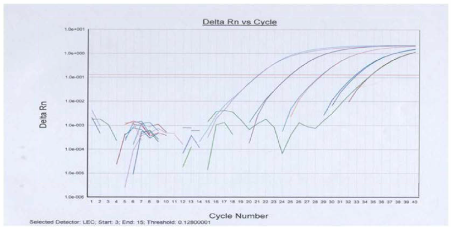 Real-time PCR GMO 분석결과(Lecl 유전자 발현)
