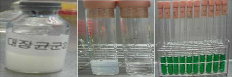 대장균군(Total coliforms) 주정시험 (BGLB)
