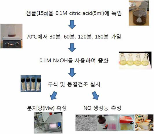 구연산을 이용한 황함 다당류의 분자량 감소 과정