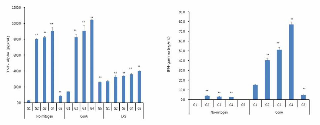 TNF-alpha 및 IFN-gamma 분비능 확인