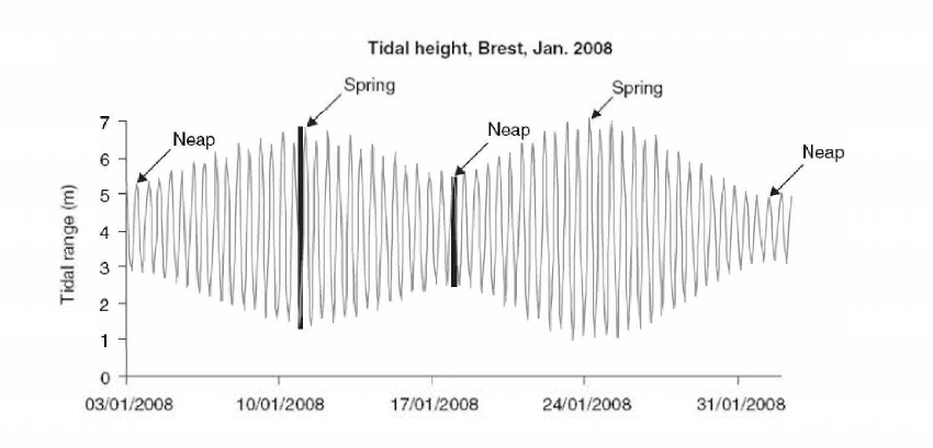 30days tidal cycle