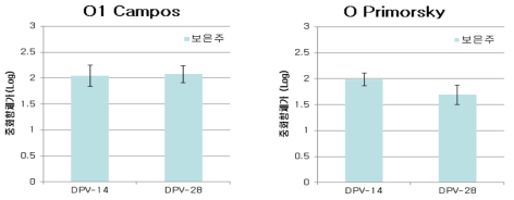 긴급 수입 백신 접종 SPF 돼지혈청에 대한 보은주의 중화항체가