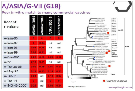 A/ASIA/G-VII 지역형의 백신매칭 결과