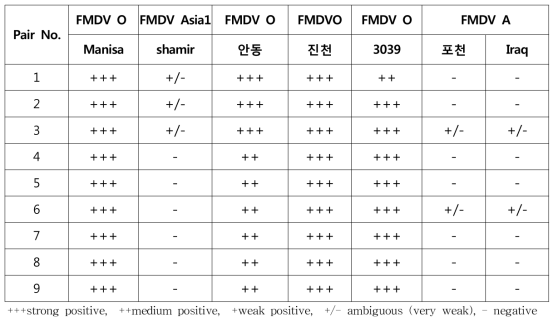 FMDV O specific pair (총 9종)의 FMDV serotype 별 교차반응성.