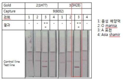 FMDV A 형에 특이적인 단크론 항체 3종에 대한 Pairing test를 통한 FMDV O형, A형 및 Asia 1에 대한 반응성 평가 결과