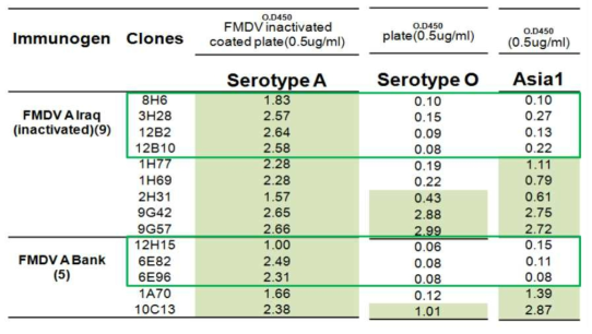 고역가로 선발된 FMDV Serotype A 단크론 항체 특이성 분석 결과