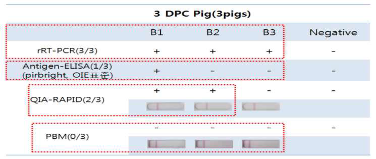 구제역바이러스로 공격 접종된 3마리 돼지 타액을 이용해 기존의 항원 진단법 및 Rapid kit(QIA, PBM)로 구제역 항원 검출결과비교
