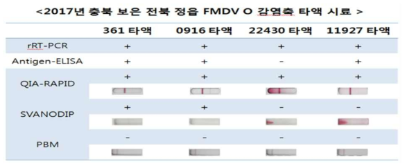 2017년 구제역 O 형 바이러스 발생에따른 감염축에 대한 기존 진단법과효율성 비교