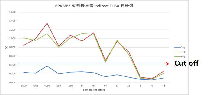 Indirect ELISA(재조합 VP2) test 결과
