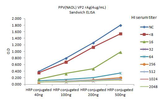 HRP 농도별과 HI역가와의 관계