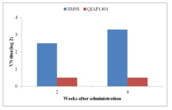 SM98 strain과 QIAP1401 strain 간의 혈청학적 비교시험