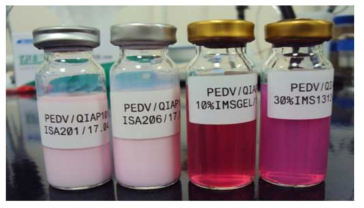 4종의 에쥬번트를 이용한 PEDV 불활화백신 제조