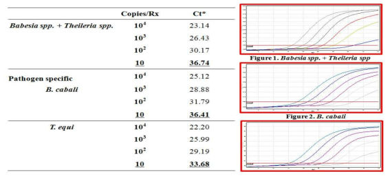 바베시아/타일레리아 스크리닝용, 바베시아 까발리 특이, 타이레리아 이콰이 특이 실시간유전자진단법의 민감도 평가