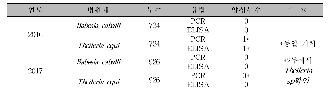 말 혈액 및 전혈을 이용한 파이로플라즈마 검사결과