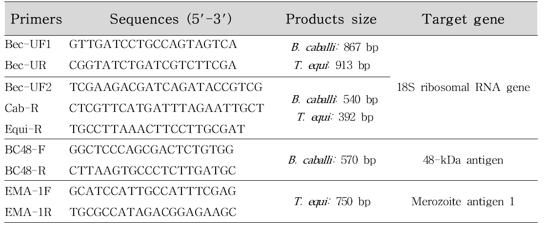 말 파이로플라즈마증 유전자진단법 프라이머, 증폭산물크기 및 타겟유전자