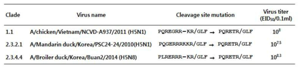 H5형 백신후보주에 대한 분절부위 염기서열 및 증식성