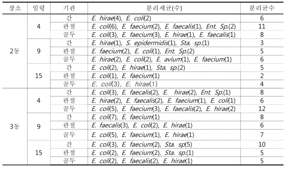 P farm 시료 채취 시기별 주요 분리세균 조사 결과