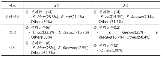 P farm 입식시기(4일)의 총배설강, 환경 및 사료 시료 조사 결과