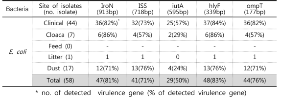 대장균에서 virulence gene 검색 결과