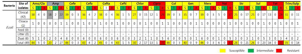 E. coli에 대한 MIC 측정 결과