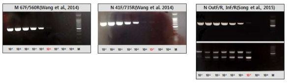 국외 PDCoV 단일 cRT-PCR 및 nested PCR 검출한계