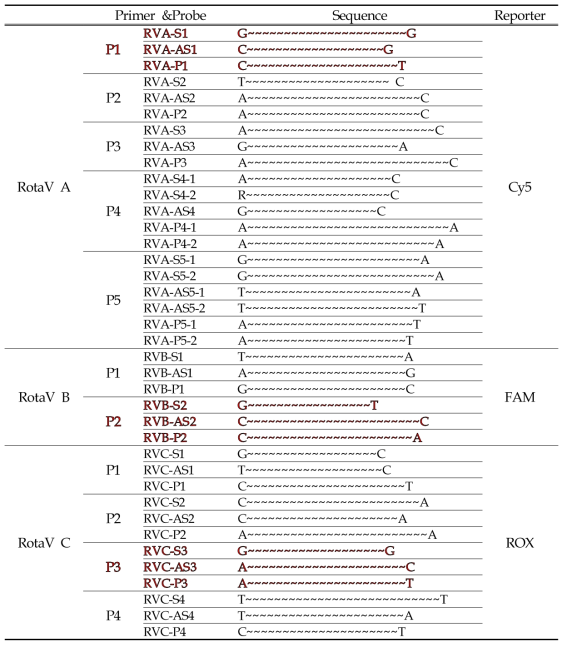 RotaV grouping을 위한 qRT-PCR primer 및 probe