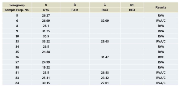 야외 분변 시료를 이용한 RotaV grouping qRT-PCR