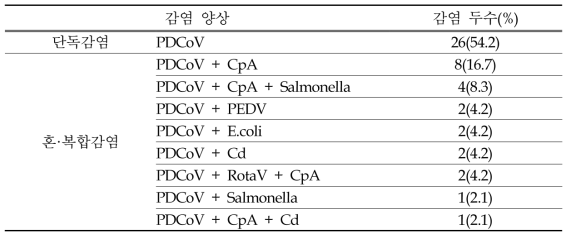 PDCoV 양성 시료에 대한 감염 양상