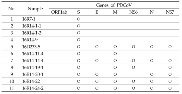 검색된 PDCoV에 대한 ORF별 염기서열 분석 현황