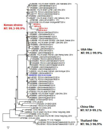 국내·외 PDCoV의 structural gene에 대한 phylogenetic analysis