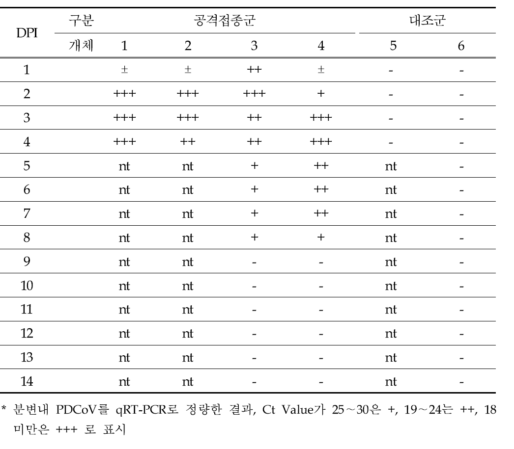 포유자돈에 대한 PDCoV 공격접종 후 분변내 바이러스 검출 결과