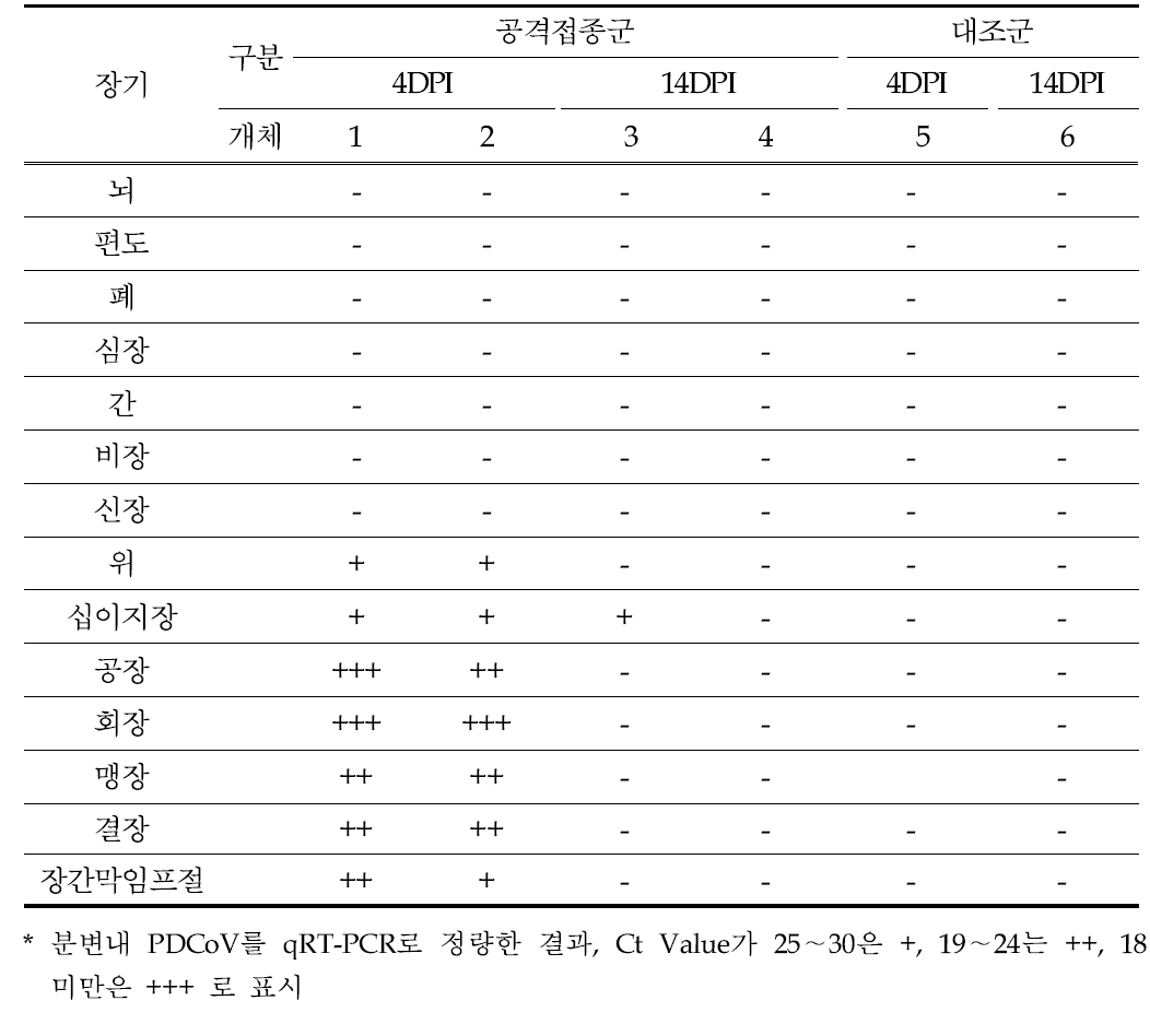 PDCoV 공격접종 포유자돈의 내부 장기별 바이러스 검출 결과