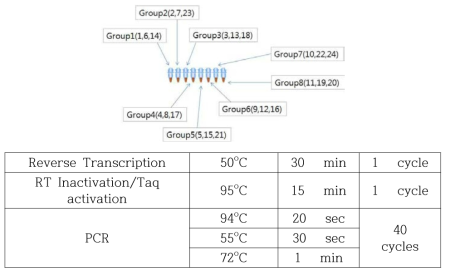 블루텅 혈청형 감별 multiplex RT-PCR의 group별 감별대상 혈청형 및 반응조건